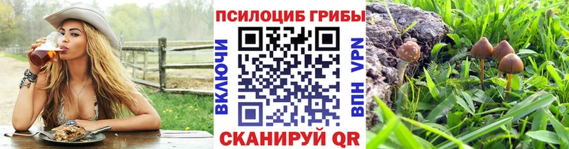 ссылка на мегу онион  Сельцо  Галлюциногенные грибы Psilocybine cubensis 